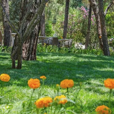 Pine Villas & Apartmán Kusadası