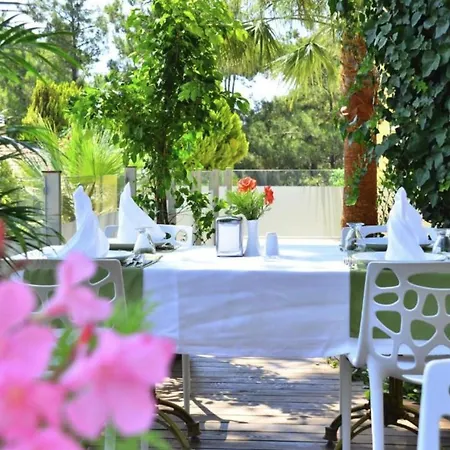 Apartmán Pine Villas &