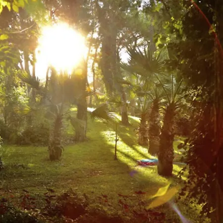 Pine Villas & Apartmán Kusadası